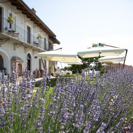 Agriturismo La Torricella Villa Monforte D'Alba Exterior photo